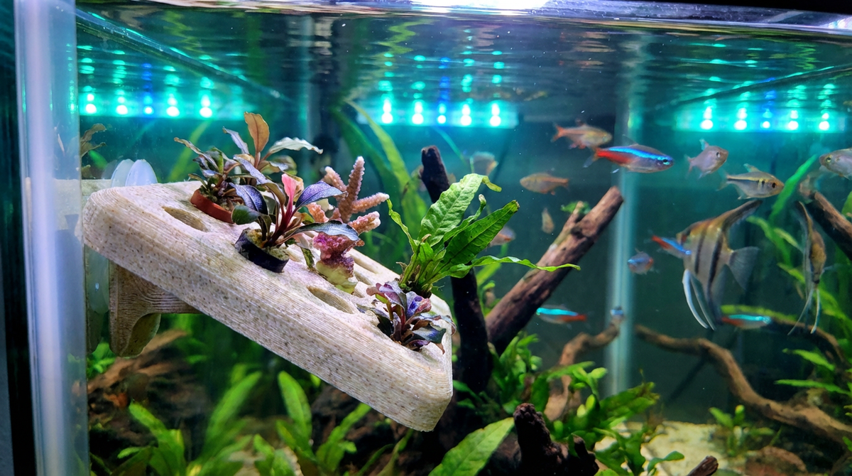 PLAは水槽に安全か？サンゴフラグと隠れ家の印刷