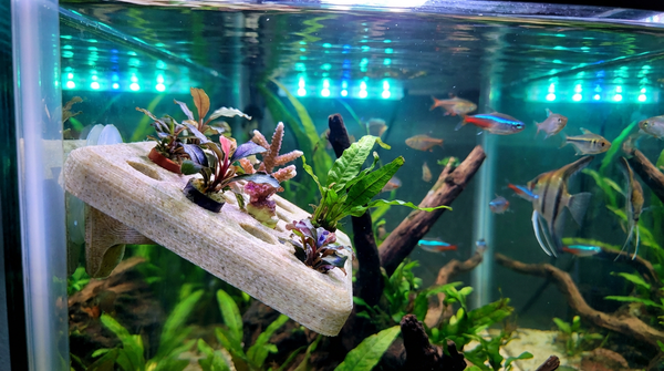 PLAは水槽に安全か？サンゴフラグと隠れ家の印刷